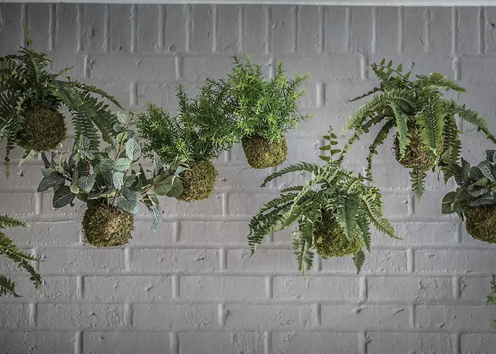 Western Airport Hotel